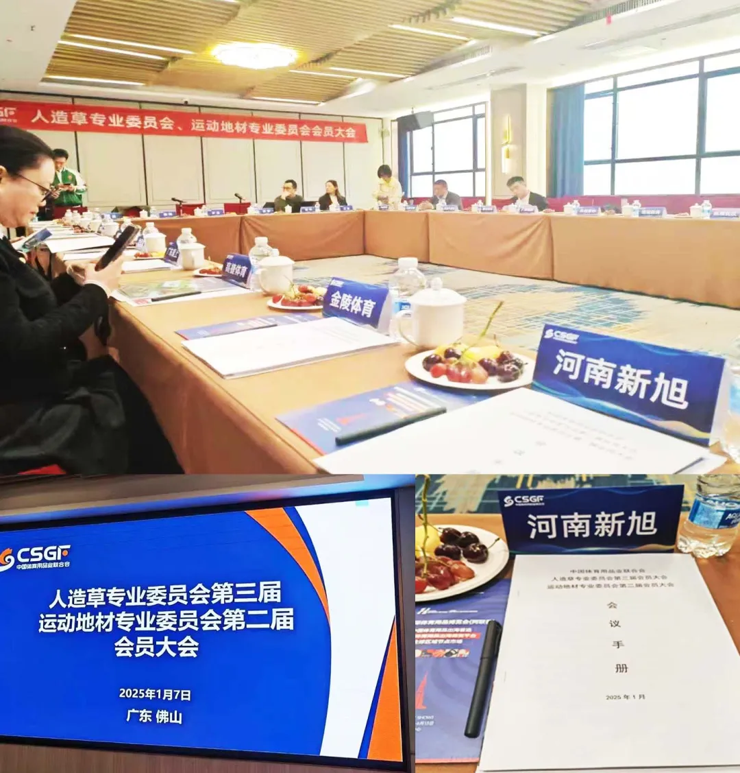 新旭體育運動地材專業(yè)是委員會
